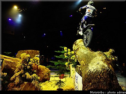 0085_brown_012_eliminatoires.jpg