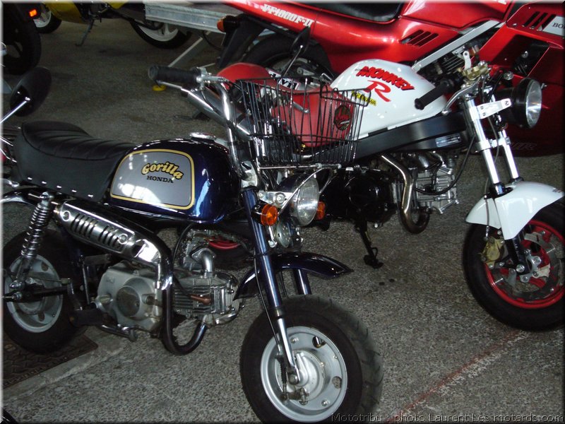 MOTO 