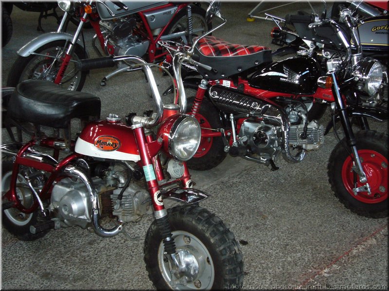 MOTO 