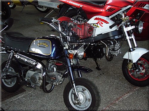 honda-gorilla.jpg