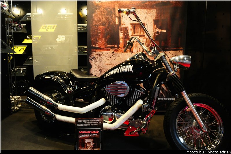 0049_highway_hawk