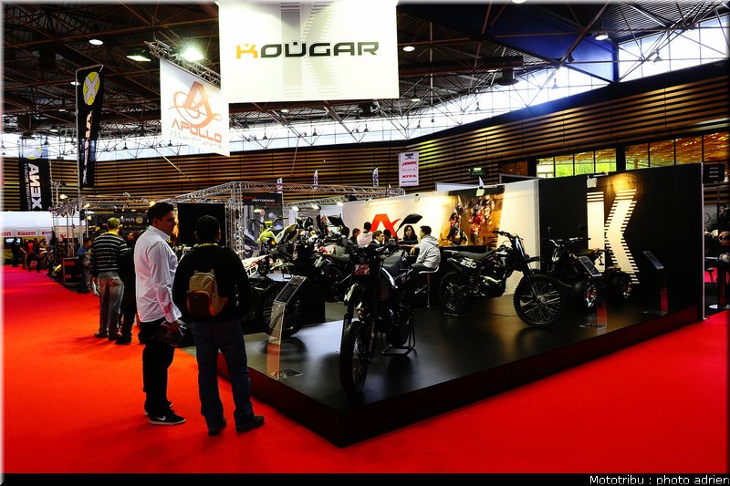0060_kougar