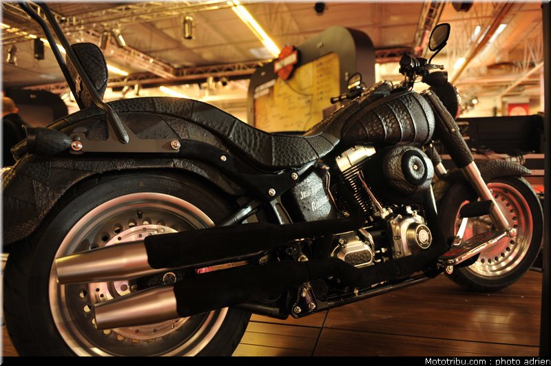 harley_davidson_001_salon_de_la_moto_paris_2011