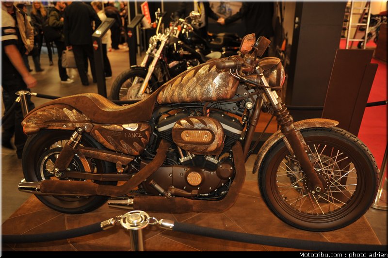 harley_davidson_007_salon_de_la_moto_paris_2011