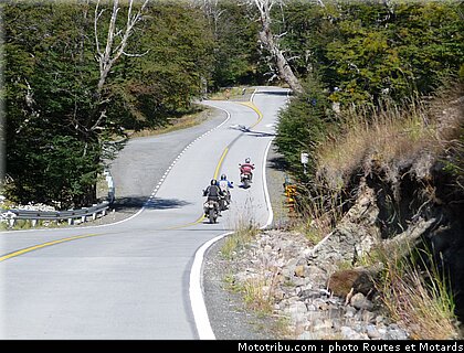 routes_et_motards_patagonie_2010_032.JPG