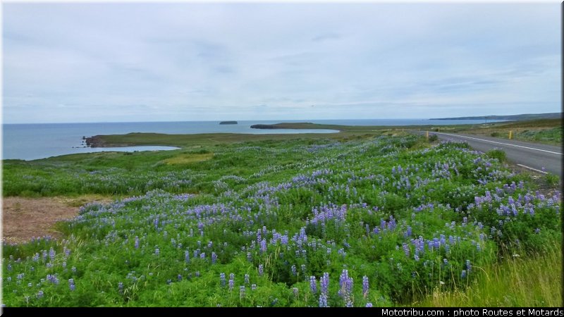 routes_et_motards_voyage_islande_2011_0084