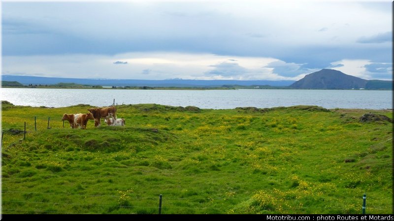 routes_et_motards_voyage_islande_2011_0103
