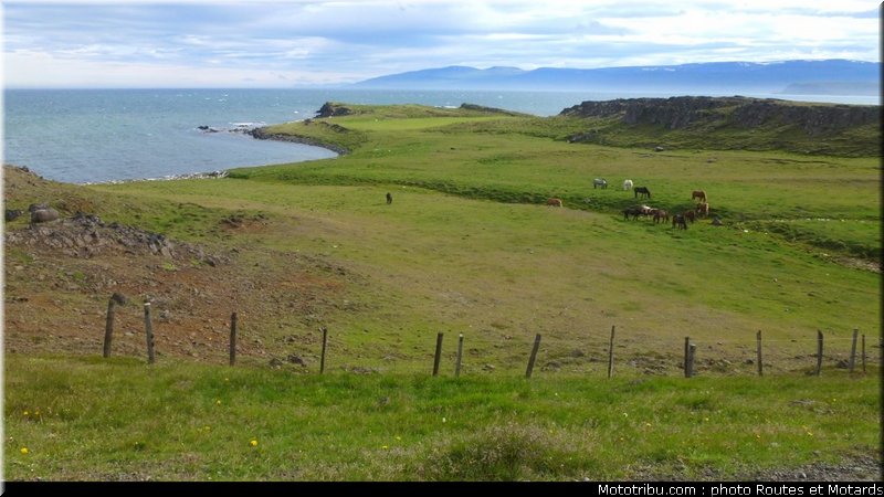 routes_et_motards_voyage_islande_2011_0161