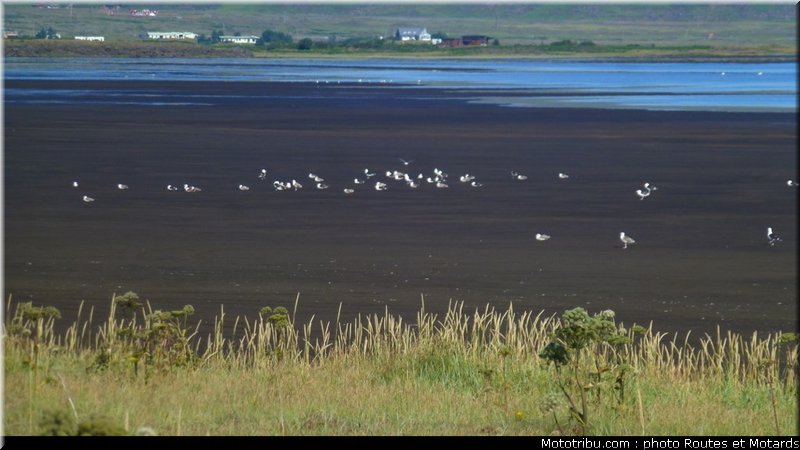 routes_et_motards_voyage_islande_2011_0306