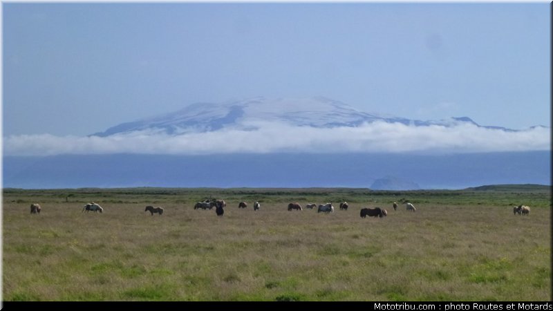 routes_et_motards_voyage_islande_2011_0310