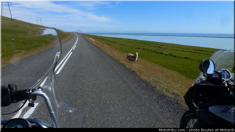 routes_et_motards_voyage_islande_2011_0395
