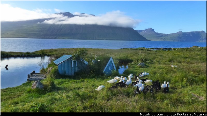 routes_et_motards_voyage_islande_2011_0426