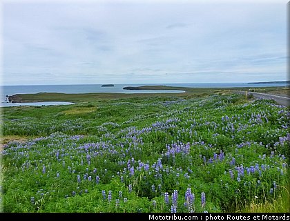 routes_et_motards_voyage_islande_2011_0084.jpg