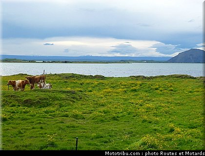 routes_et_motards_voyage_islande_2011_0103.jpg