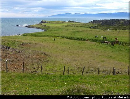 routes_et_motards_voyage_islande_2011_0161.jpg