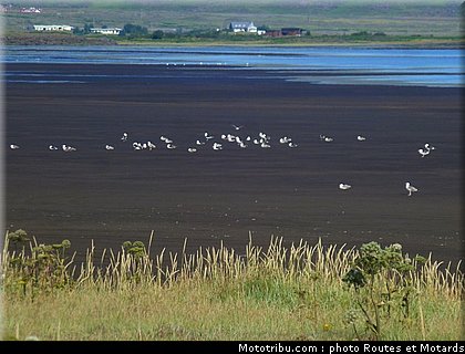 routes_et_motards_voyage_islande_2011_0306.jpg