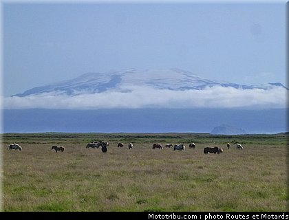 routes_et_motards_voyage_islande_2011_0310.jpg