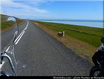 routes_et_motards_voyage_islande_2011_0395.jpg