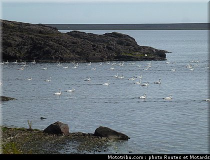 routes_et_motards_voyage_islande_2011_0403.jpg