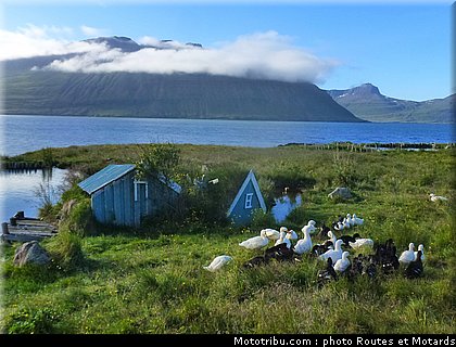 routes_et_motards_voyage_islande_2011_0426.jpg