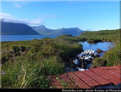 routes_et_motards_voyage_islande_2011_0427.jpg