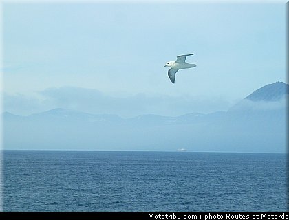 routes_et_motards_voyage_islande_2011_0431.jpg