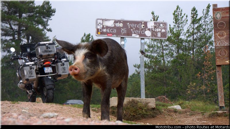 routes_et_motards_en_corse_2012_042