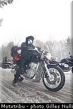 millevaches 2012 nulli 0045.JPG