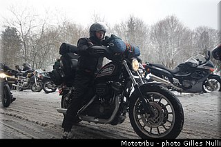 millevaches 2012 nulli 0062.JPG