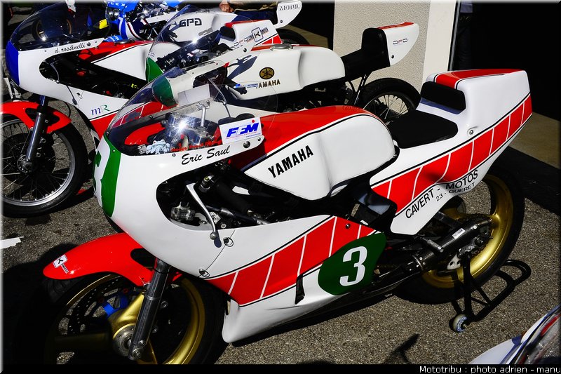 paddock_0031