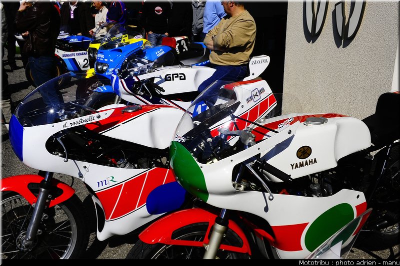 paddock_0032
