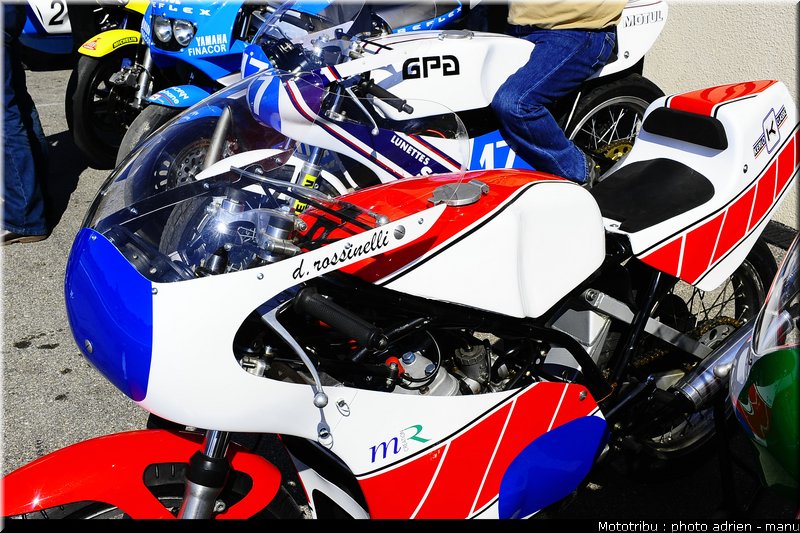 paddock_0034