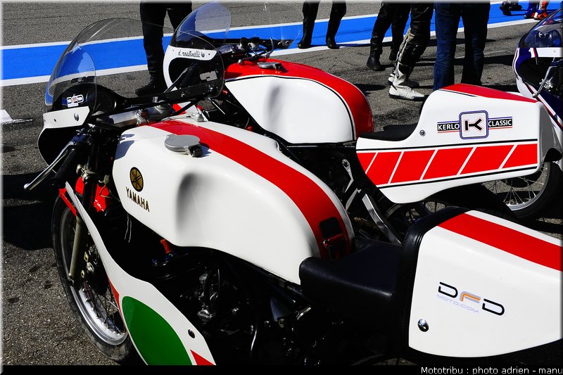 paddock_0038