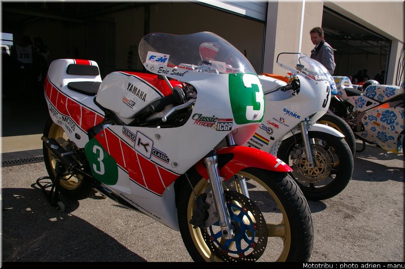 paddock_0040