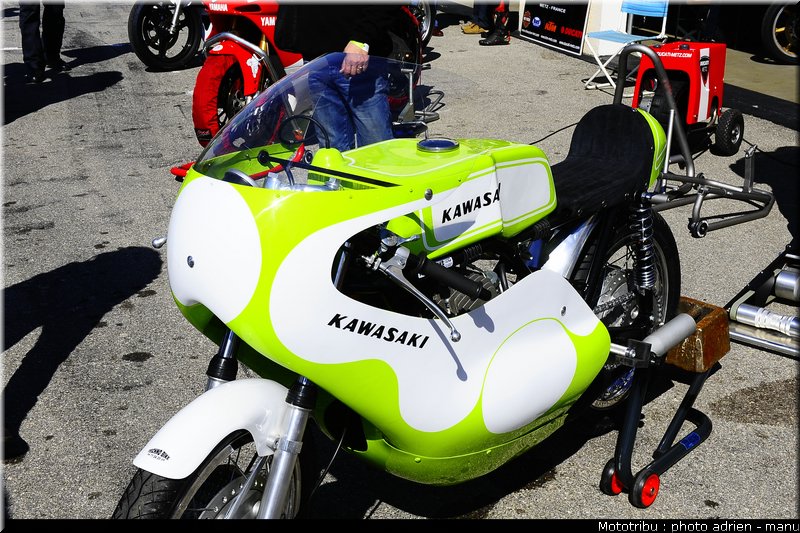 paddock_0046