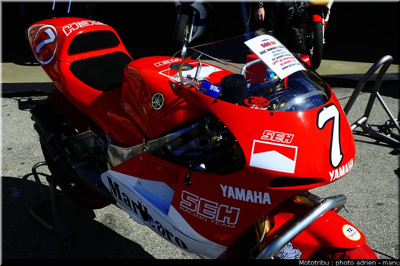 paddock_0047