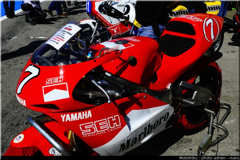 paddock_0048