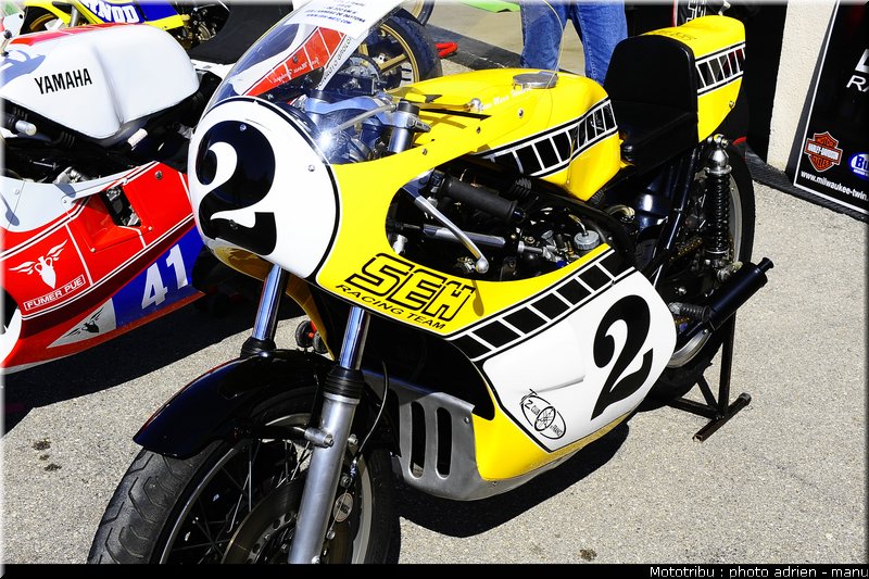 paddock_0050