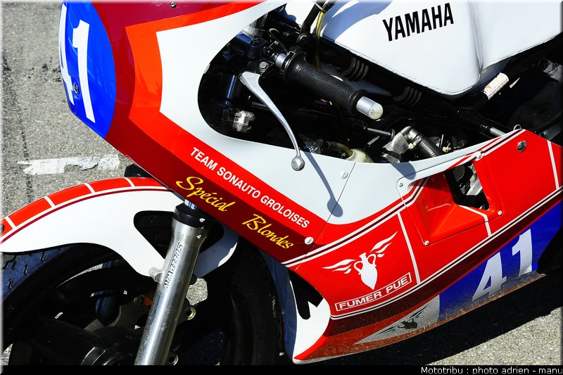 paddock_0051