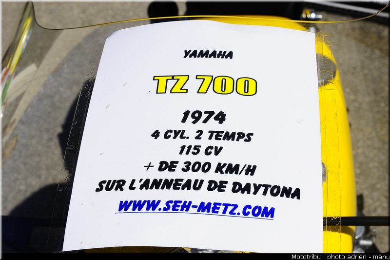 paddock_0052