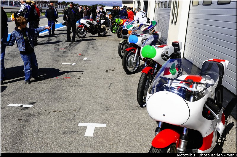 paddock_0058
