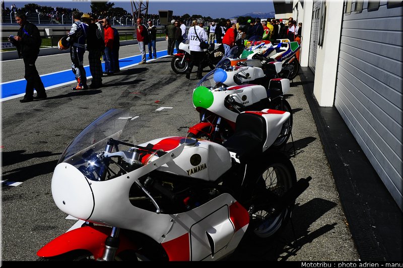 paddock_0059