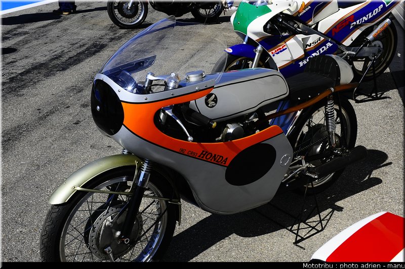 paddock_0060