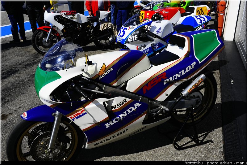 paddock_0062