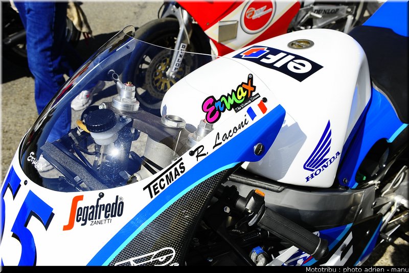 paddock_0064