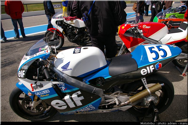 paddock_0070