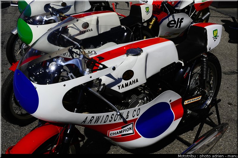 paddock_0075