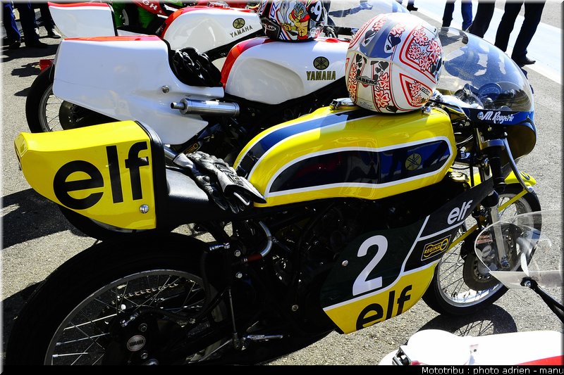 paddock_0078