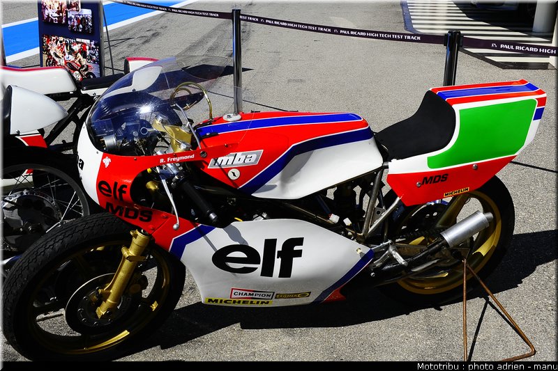 paddock_0079