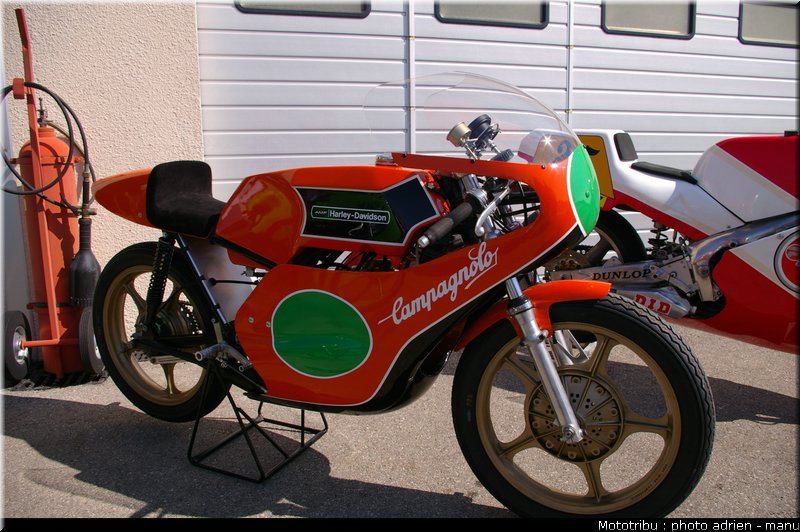 paddock_0081